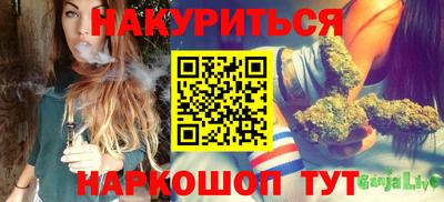 сатива Кимры