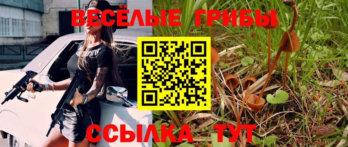 Чернушка  Галлюциногенные грибы Magic Shrooms  Вход с VPN 