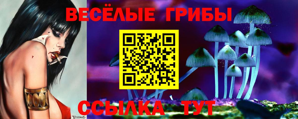 Галлюциногенные грибы мухоморы Чернушка